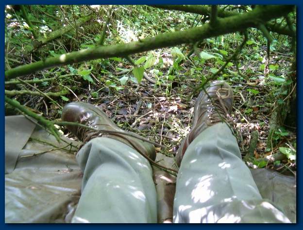 600x449 pixels (168K)